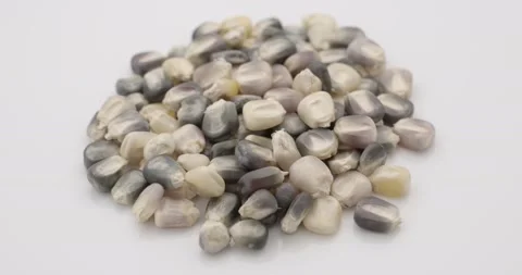 Close up of white and purple corn rotating isolated on white background Video stock 151682723