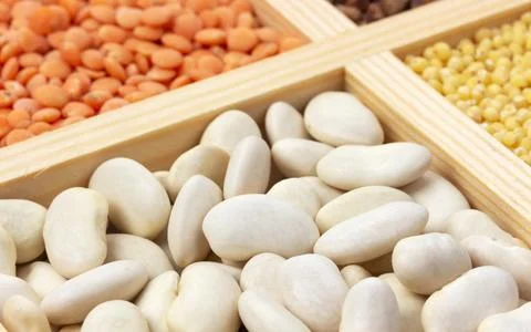 Close up of white beans background Stock Photos