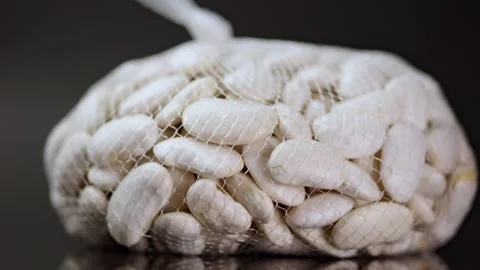Close-up of white beans slowly rotating against a black background, showcas.. Stock Footage 262731583