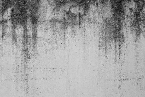 Close-up of White cement crack wall and peeled paint caused by water and sunl Stock Photos