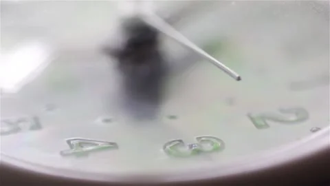 Close up of a white clock face  with visible passing of time Stock Footage 131671377