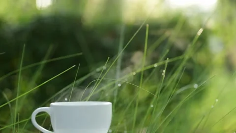 A close-up of a white coffee mug, with soft, swirling steam rising Stock Footage 294881226