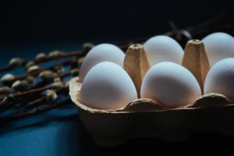 Close up white Easter eggs in carton box and pussy-willow brunches on dark blue Stock Photos
