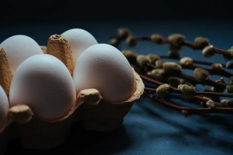 Close up white easter eggs in carton box and willow branches isolated on black Stock Photos