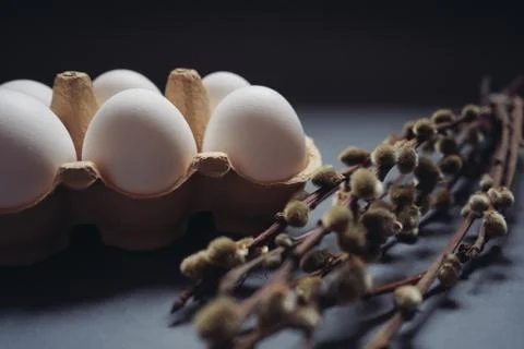 Close up white Easter eggs in carton box and pussy-willow brunches on dark blue Stock Photos