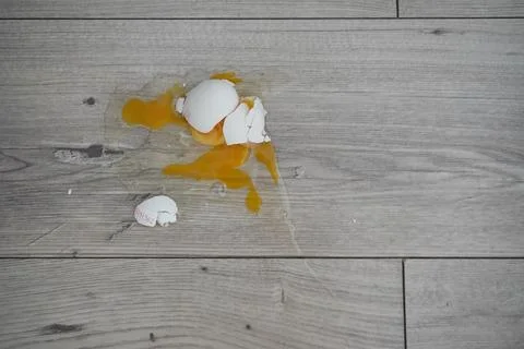 Close up the white egg fall and broken on wooden floor. crushed egg Stock Photos
