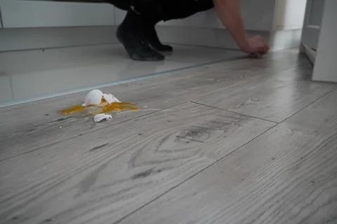Close up the white egg fall and broken on wooden floor. crushed egg, cleaning Stock Photos