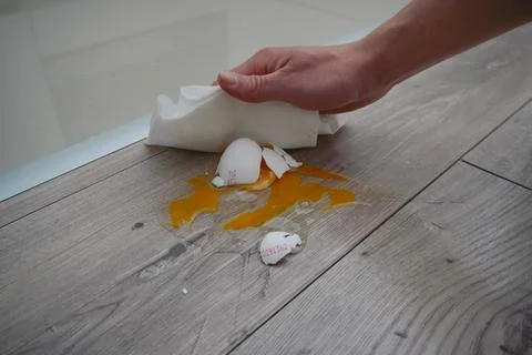 Close up the white egg fall and broken on wooden floor. crushed egg with cl.. Stock Photos