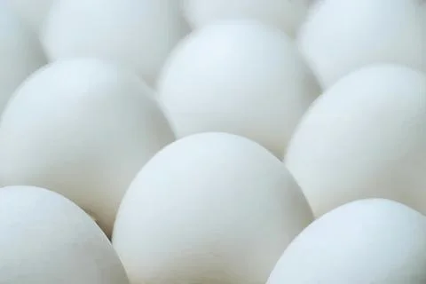 Close-up of white eggs arranged in a pattern Stock Photos
