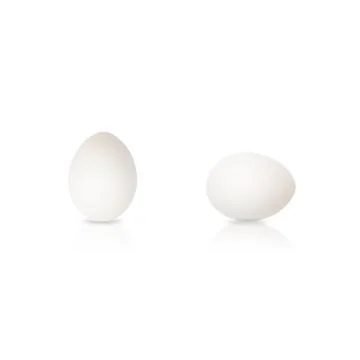 Close-up on a White eggs Stock-Fotos