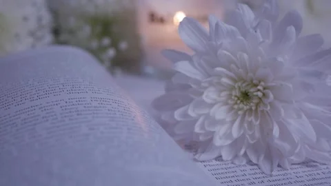 Close-up white flowers on an open book.burning candle. chrysanthemum. gypsophila Stock Footage 260417811