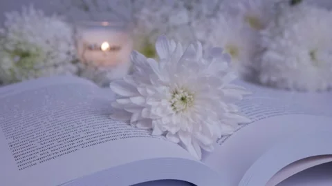 Close-up white flowers on an open book.burning candle. chrysanthemum. gypsophila Stock Footage 260417812