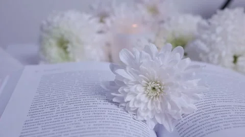 Close-up white flowers on an open book.burning candle. chrysanthemum. gypsophila Stock Footage 260417816