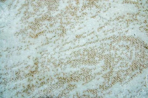 Close up of white fluffy carpet. Stock Photos