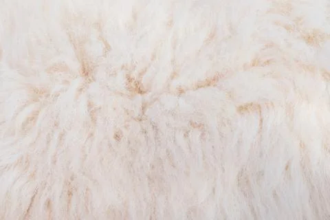 Close up white fur texture Foto stock