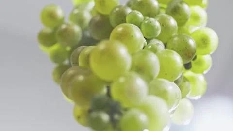 Close-up of white grape berries on a bunch of grapes rotating around its axis Stock Footage 268744398