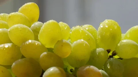 A Close-up of White Grape with Drops of Water Rotating in the Sun Stock Footage 71153248
