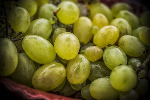 Close-up of White Grapes Stock Photos