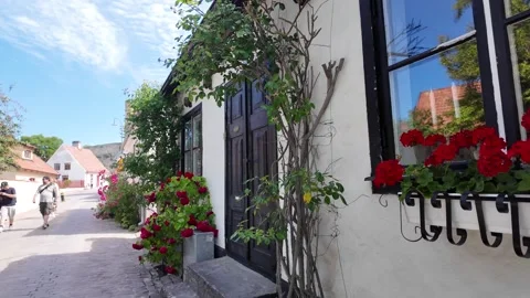 Close of white house facade dark door window, climbing plant, red — Visby Stock-Footage 347670938