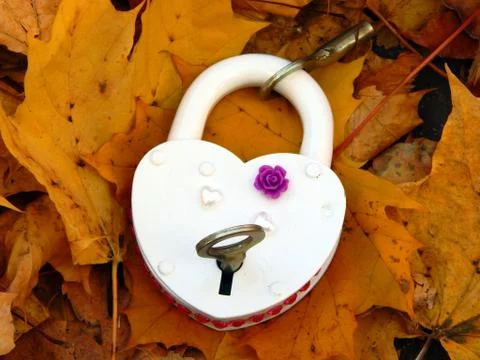 Close-up. White lock in maple leaves Stock-Fotos
