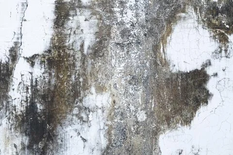 Close up of a white painted wall covered in dark, spreading black mold and .. Stock Photos