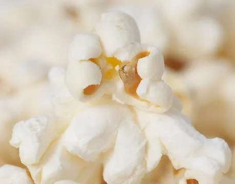 A close up of a white popcorn kernel Stock Photos