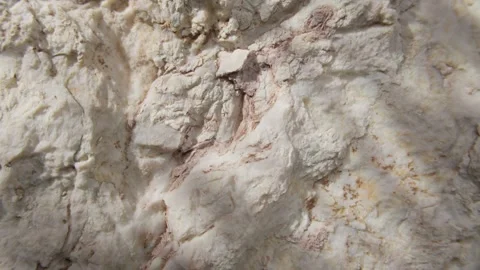 Close-Up of White Rock Surface with Textured Cracks Stock Footage 286242176