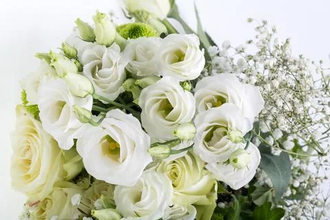 Close up of white roses Stock Photos