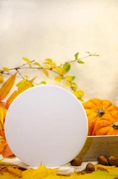 Close-up white round template round mockup on a white knitted plaid background Stock Photos