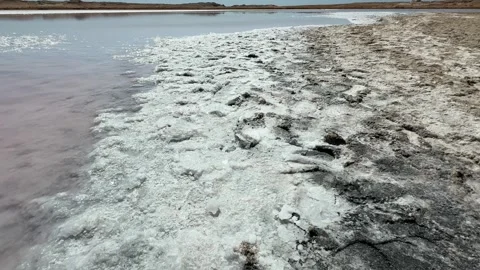 Close Up of White Salt Crystal Formations and Pink Water at the Saline Lake in Stock Footage 341838010