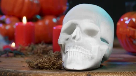 Close up of white scary skull on a table Stock Footage 116109136