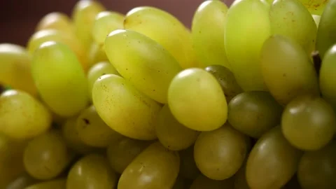 Close-up of white seedless grapes. Grape in dolly shot Stock Footage 144801028