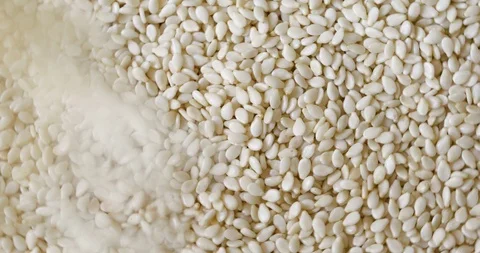 Close up white sesame , 4k resolution Stock Footage 101586482