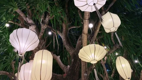 Close up of White silk Hoi An lanterns hanging on tree branches at night festive Stock-Footage 341547008