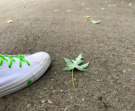 Close up white sneaker next to a fallen leaf on the street  Stock Photos