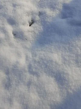 Close up of white snow and rays of light. Stock Photos