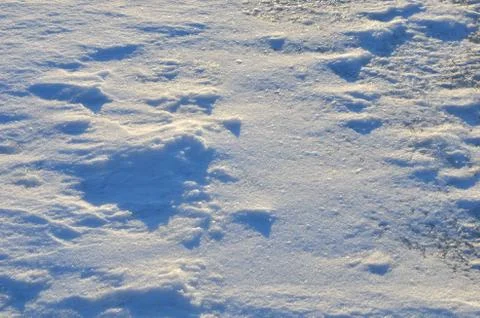 Close up of white snow background. Snow covered ground on a frosty winter day Foto stock
