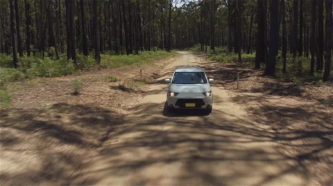 CLOSE UP: White SUV car driving along dirty road leading through lush forest Stock Footage 64650612