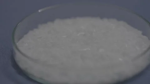 Close-up of white translucent granules in a petri dish Stock-Footage 327633142