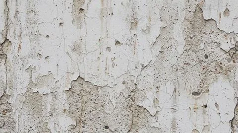 Close-up of white tree bark texture. Fotos Stock