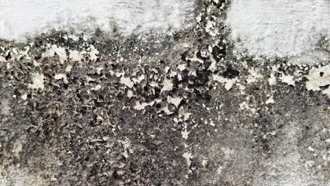 Close up of a white wall damaged by severe dampness, moisture Stockbeeldmateriaal 328287548