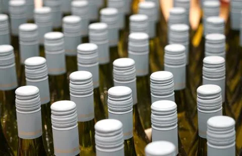Close up on white wine bottles in rows Stock Photos