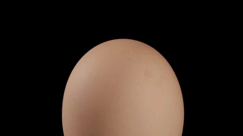 Close-up, whole brown egg on the rotating surface on the black background, Stock Footage 105792629