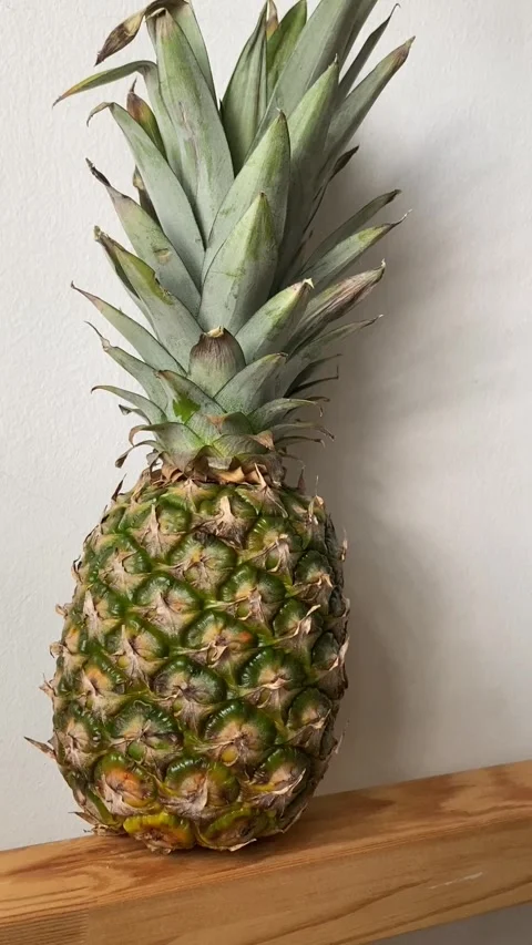 Close up whole raw pineapple tropical fruit Stock Footage 250587101