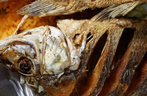 Close up of a whole size of deep fried tilapia fish Stock Photos