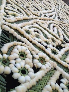 Close up of a wicker pattern made from green and white plants in Mexico Stock Photos