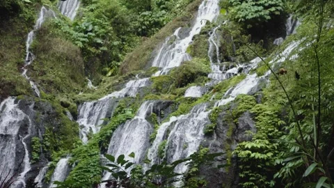 Close-Up of Wide Layered Waterfall Over Moss and Fern, Buleleng Bali Stock Footage 346709766