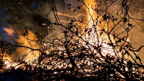 Close up of a wild fire / bonfire Stock-Footage 224566233