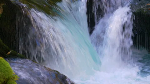 CLOSE UP: Wild river flowing over small waterfalls carrying vivid autumn leaves Stock Footage 204050505