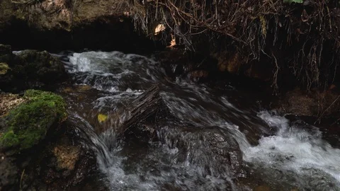 Close up of wild Vilsos river, Lithuania Stock Footage 113965312
